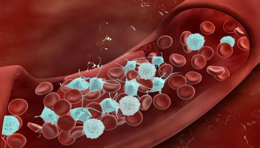 BBOJI® Nose Stick – Overcome ED, Premature Ejaculation & Weakness image BBOJI® Nose Stick – Overcome ED, Premature Ejaculation & Weakness