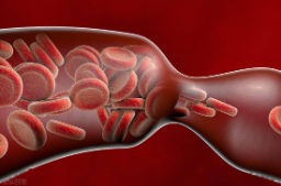 BBOJI® Nose Stick – Overcome ED, Premature Ejaculation & Weakness image BBOJI® Nose Stick – Overcome ED, Premature Ejaculation & Weakness